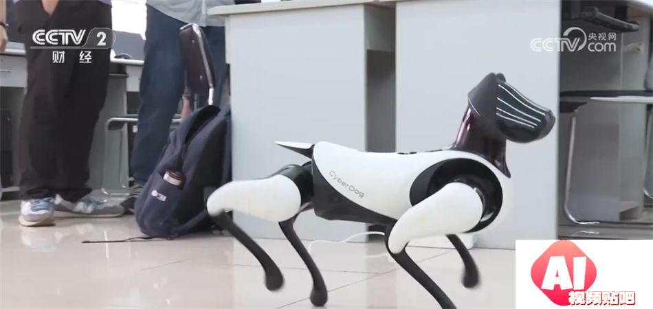 我国推动“AI+X”跨界人才培养 人工智能就业前景让相关专业热度持续攀升