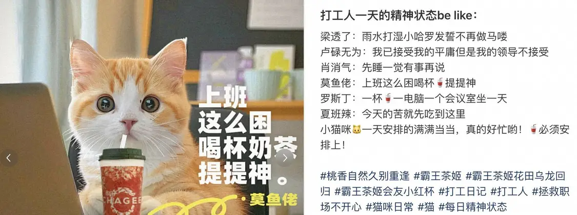 让千万网友着迷的 AI 巫师猫，凭什么成为小红书和 Instagram 的新顶流