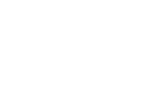 Flux AI,
