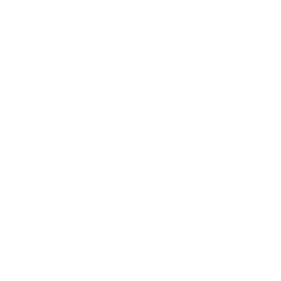 悟道大模型,