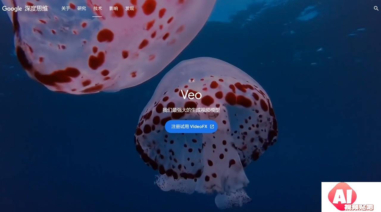 FireShot Capture 3000 - 我明白了 - 谷歌 DeepMind --- Veo - Google DeepMind - deepmind.google.jpg