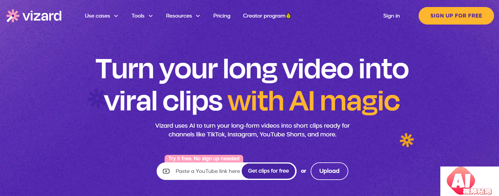 Vizard