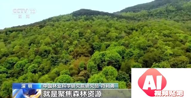 全国人工智能应用场景创新挑战赛结束 13个项目获特等奖