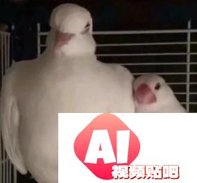 谷歌爆款学习神器更新，一键插嘴AI对话，哪里不会问哪里