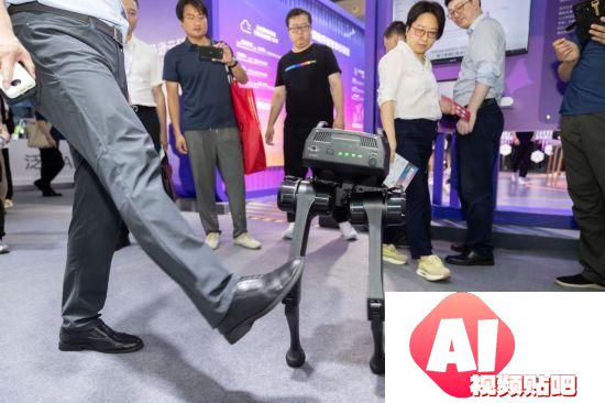 2024世界人工智能大会开幕