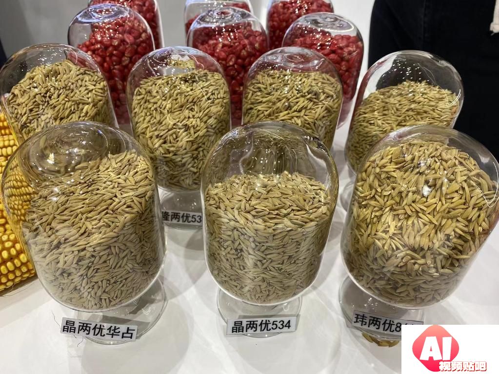世界人工智能大会报道：一碗好饭背后的人工智能