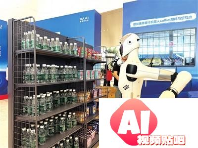 海淀融媒记者实地探访2024智源大会AI创新展