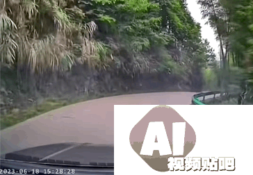 AI技术重新塑造导航体验，弯道会车无灯路口提前警告，用户赞叹导航智能化
