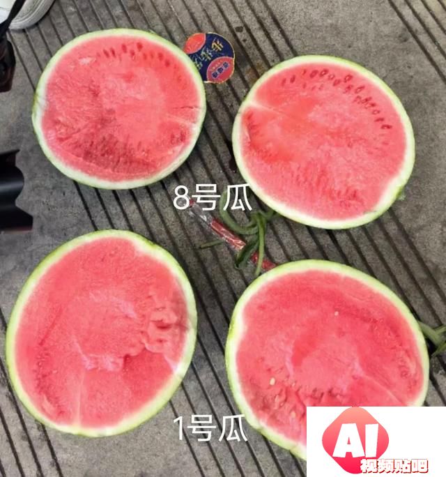 AI挑西瓜靠谱吗？记者实测被震惊：这结局真猜不到！